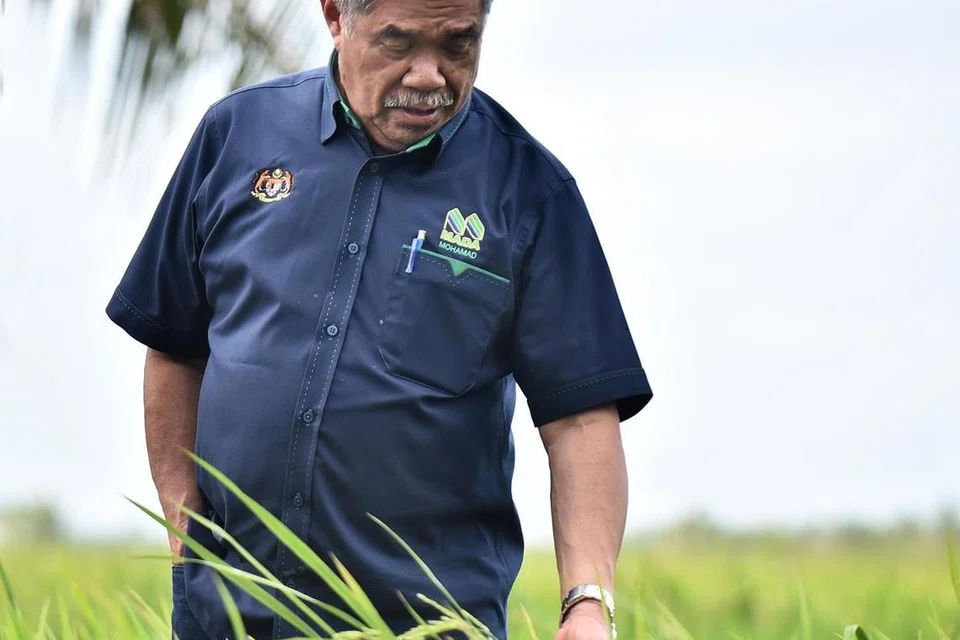LUASKAN TANAMAN PADI: Menteri Pertanian dan Keterjaminan Makanan Malaysia, Datuk Seri Mohamad Sabu, menyasarkan peluasan kawasan penanaman padi termasuk di Sabah dan Sarawak, untuk menampung keperluan beras tempatan.
