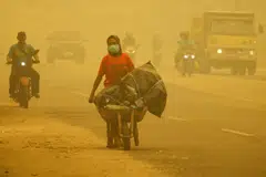 kebakaran hutan indonesia