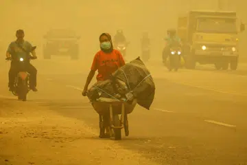 kebakaran hutan indonesia