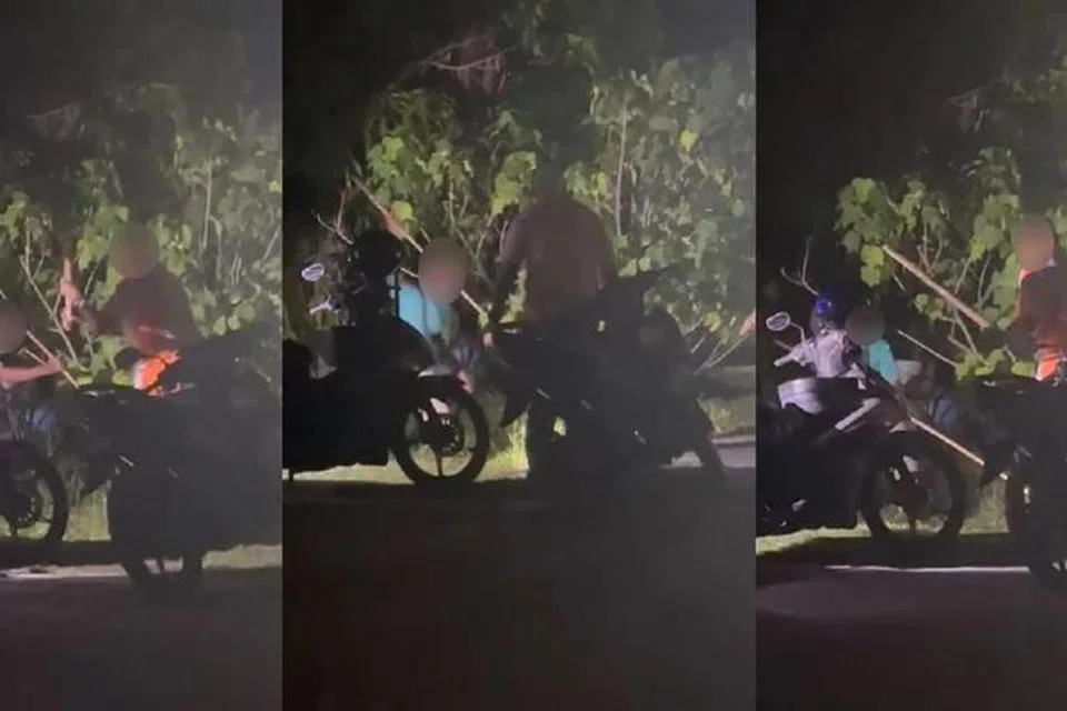 ANIAYA BINATANG: Rakaman video menunjukkan dua lelaki menyerang sesuatu menggunakan kayu di dalam semak.