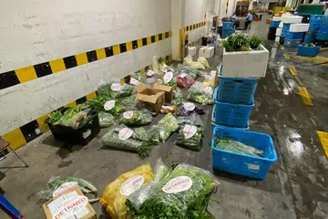 Sekitar 378kg buah-buahan dan sayur-sayuran segar yang tidak diisytiharkan telah dikesan dan dirampas November lalu. Foto oleh SFA