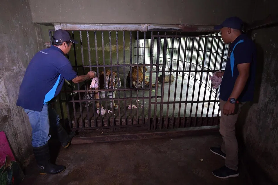 NAIK TARAF: Taman haiwan berusia 95 tahun ini akan dinaik taraf dan dijangka dibuka semula pada penghujung 2023. 