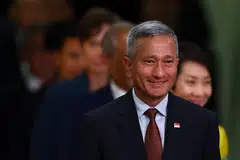 Dr Vivian Balakrishnan, Negara pulau kecil