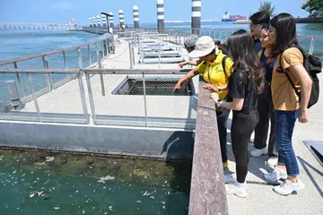 Pemandu pelancong bagi Lawatan Penerokaan Laut, Penguasa Kelautan dan Pelabuhan Singapura (MPA), Cik Grace Christine (bertopi), menunjukkan dan menceritakan kepada para pengunjung mengenai batu karang yang tumbuh di tepi laluan pejalan kaki di Taman Marin Pulau Subar (Sisters’ Island). 