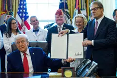 donald trump, usa, america, marijuana, drugs