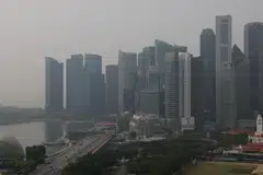 Menurut MinLaw dan NEA, firma dan peguam yang dilantik dapat menawarkan kepakaran dalam siasatan forensik, analisis kewangan, risikan korporat, khidmat nasihat risiko serta perkhidmatan undang-undang.
