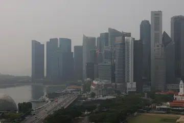 Menurut MinLaw dan NEA, firma dan peguam yang dilantik dapat menawarkan kepakaran dalam siasatan forensik, analisis kewangan, risikan korporat, khidmat nasihat risiko serta perkhidmatan undang-undang.