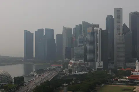 Menurut MinLaw dan NEA, firma dan peguam yang dilantik dapat menawarkan kepakaran dalam siasatan forensik, analisis kewangan, risikan korporat, khidmat nasihat risiko serta perkhidmatan undang-undang.