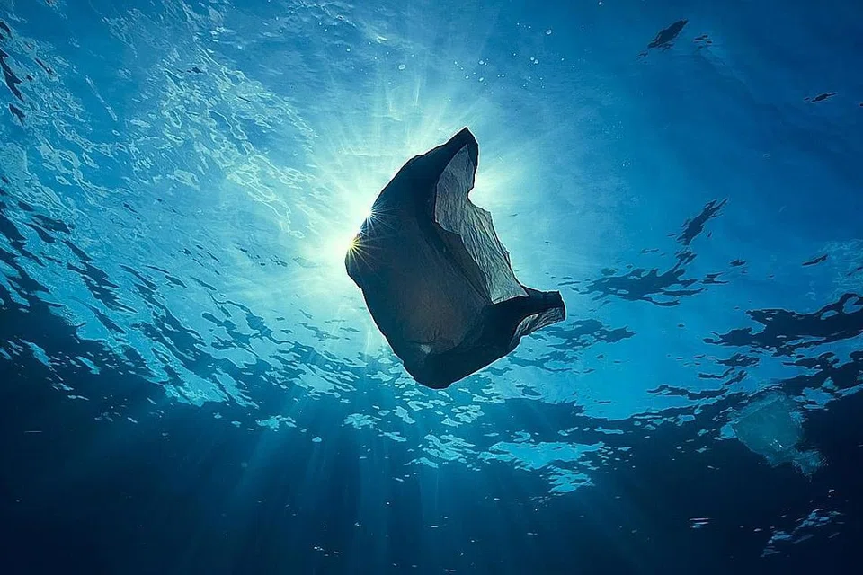 1e41fbbe-2ba0-4eb5-9978-a61fe8489989