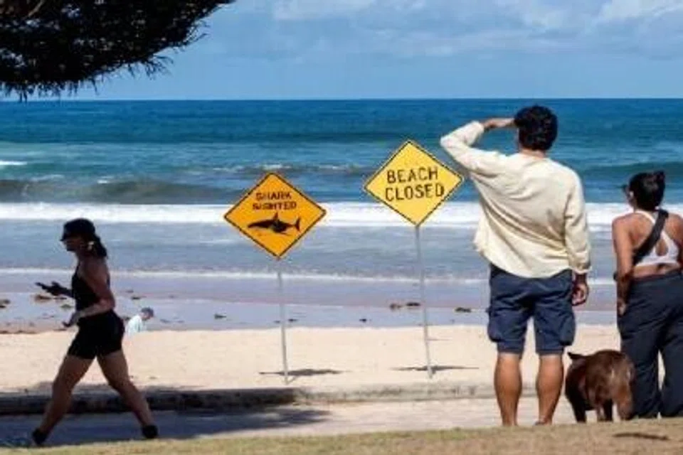 Pengunjung di Pantai Queenscliff dilihat berjalan melepasi papan tanda amaran sewaktu pantai itu ditutup susulan serangan jerung baru-baru ini di Sydney.