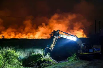 kebakaran hutan kalimantan tengah