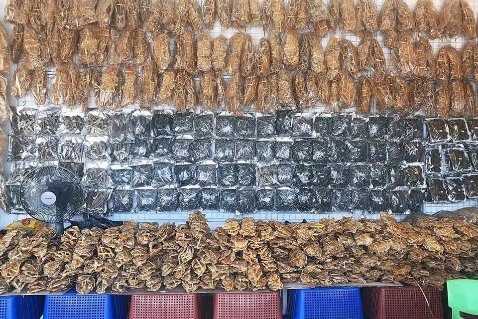 POPULAR DI MALAYSIA DAN SINGAPURA: Produk perut ikan dan gamat dijual di sebuah pasar di Sabah, Malaysia. - Foto TRAFFIC