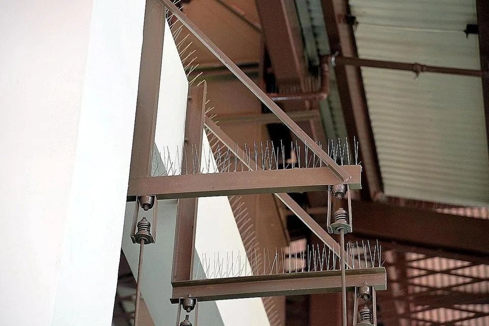 CEGAH BURUNG: Pancang besi atau "spikes" yang diletakkan pada palang bumbung ini berjaya mencegah burung daripada menghinggap. - Foto-foto M.O. SALLEH