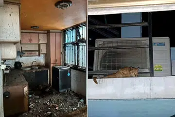 Keadaan flat Lembaga Perumahan dan Pembangunan (HDB) di Bukit Panjang, di mana 71 kucing yang ditinggalkan terpaksa bertahan hidup selama hampir dua tahun.