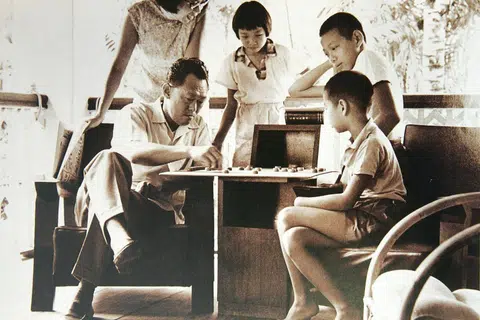 Dr Lee Wei Ling dilahirkan pada 7 Januari 1955 dan merupakan anak kedua dalam tiga beradik serta satu-satunya anak perempuan Encik Lee Kuan Yew dan Cik Kwa Geok Choo. Abang beliau ialah Menteri Kanan, Encik Lee Hsien Loong, dan adiknya Encik Lee Hsien Yang.
