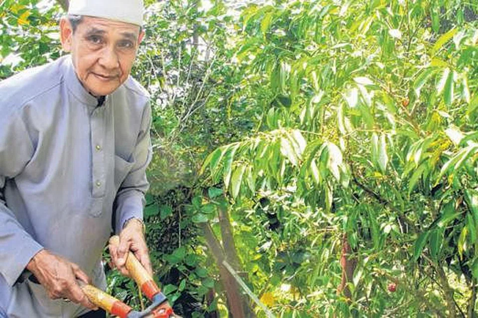 KEKAL AKTIF: Haji Saleh gemar menjaga landskap keliling Masjid Petempatan Melayu Sembawang. Beliau juga menjadi imam dan bilal masjid tersebut.