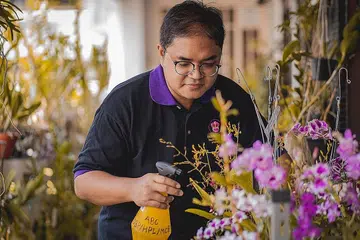ORKID KACUKAN SILANG: Encik Ridhwan kini mempunyai lebih daripada 70 jenis anggerik dalam koleksinya dan menanam anggerik yang mempunyai kacukan silang. - Foto BH oleh NUR DIYANA TAHA