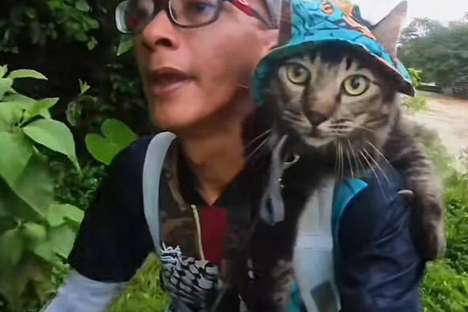 Jibek bertopi, elak terikan matahari semasa membonceng pemiliknya berlari maraton.