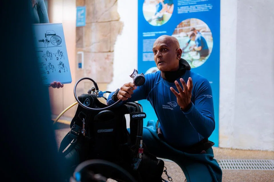 Program ‘Little Ocean Experts’ di bawah ‘Ocean Kids Festival’ menawarkan peluang kepada kanak-kanak berinteraksi dan belajar daripada pakar seperti penyelam dan doktor haiwan akuatik.