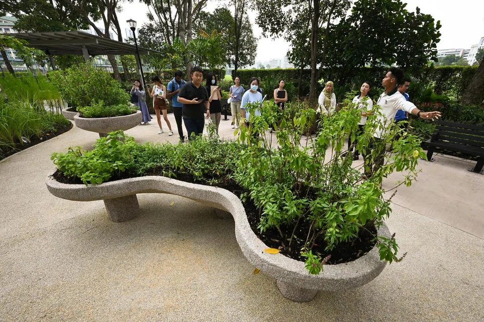 MESRA KERUSI RODA: Ruang luas di Taman Kolam Yishun ini menyediakan kawasan mesra kerusi roda untuk pengguna melakukan kegiatan berkebun serta berkongsi resipi memasak dan pengalaman berkebun.