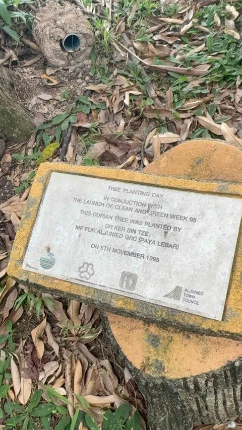Plak untuk pokok durian menunjukkan bahawa ia ditanam oleh Dr Ker Sin Tze pada 1995, yang ketika itu merupakan Anggota Parlimen (AP) bagi GRC Aljunied (Paya Lebar).