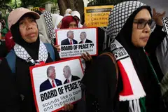 indonesia, gaza, timur tengah