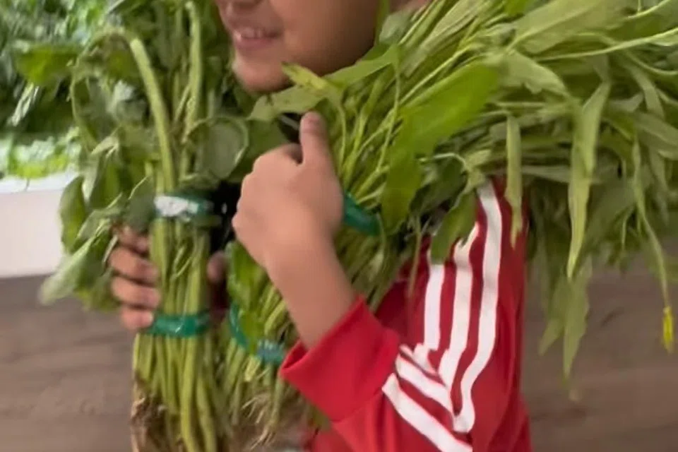 Arif Jiwa Asyraf, anak usahawan selebriti Tya Arifin, dirakam ibunya begitu teruja menjelang waktu berbuka ketika membeli sayur di pasar raya.