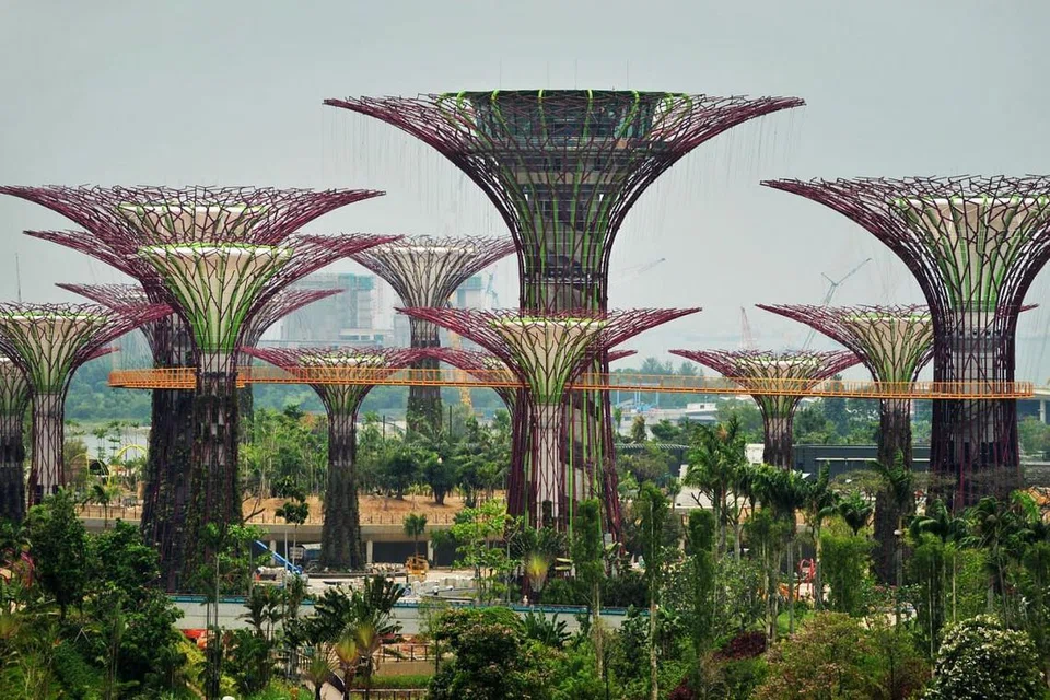 NIKMATI TAMAN DI PERSISIRAN: Kunjungi Taman di Persisiran yang menempatkan lebih daripada sejuta tanaman. Terdapat pelbagai tarikan, dari yang percuma seperti World of Plants hingga yang memerlukan bayaran seperti Flower Dome atau Cloud Forest. Anda boleh lawat konservatori yang suhunya sejuk dan menempatkan pelbagai tanaman berwarna-warni. Setelah 'menyejukkan' mata anda dengan melihat kehijauan serta bunga-bunga, anda juga boleh membawa anak anda bermain di Taman Kanak-Kanak Far East Organisation di mana mereka boleh berseronok dengan permainan air.- Foto BM oleh ALPHONSUS CHERN