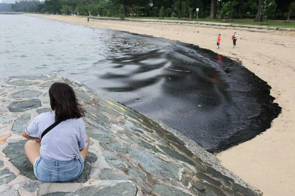 Seorang pengunjung melihat limpahan minyak di perairan di East Coast Park pada 15 Jun.