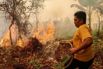 jerebu kalimantan barat
