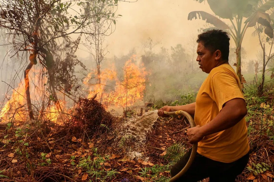 jerebu kalimantan barat