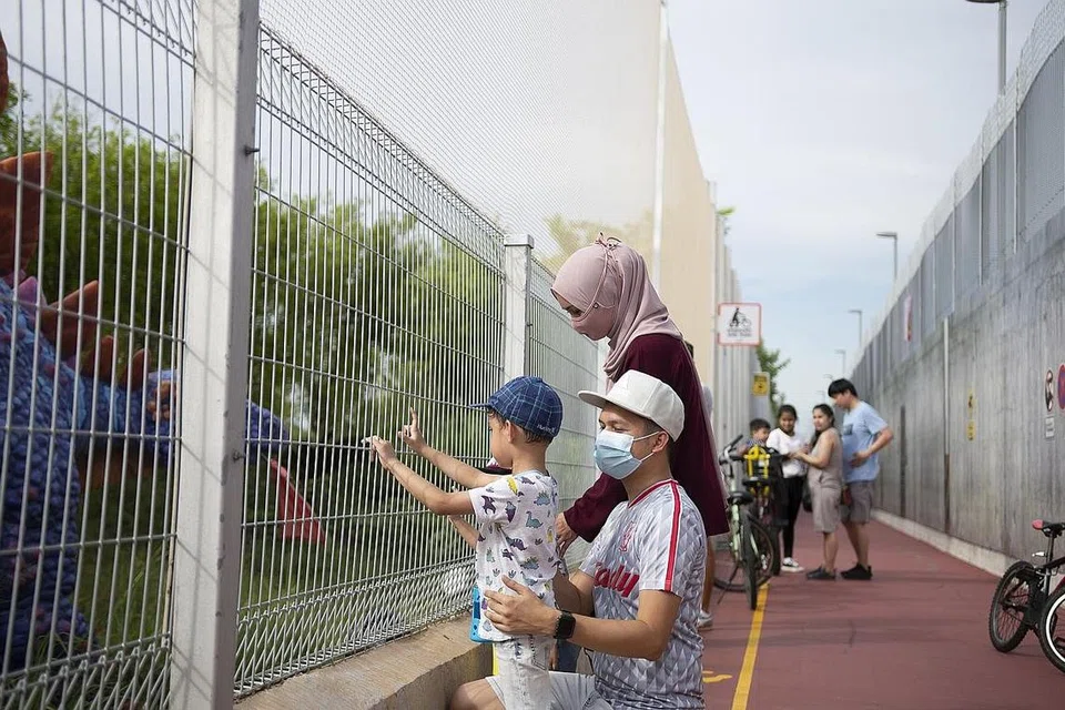 LEBIH SELAMAT: Encik Amir Aziz (memakai topi putih) mengawasi kededua anak lelakinya bersama isteri beliau, Cik Hazwani Asri (memakai hijab), ketika mereka melihat pameran dinosaur di laluan penghubung Jurassic Mile yang dilengkapi jaring keselamatan sejak Sabtu lalu. - Foto BH oleh HARITH MUSTAFFA