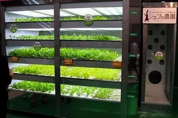SALAD PUN ADA: Mesin layan diri salad ini sudah terdapat di Jepun. - Foto TREEHUGGER