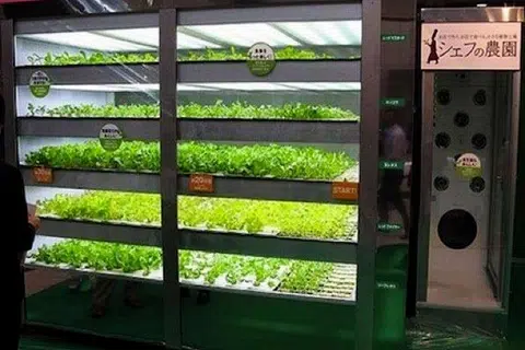 SALAD PUN ADA: Mesin layan diri salad ini sudah terdapat di Jepun. - Foto TREEHUGGER
