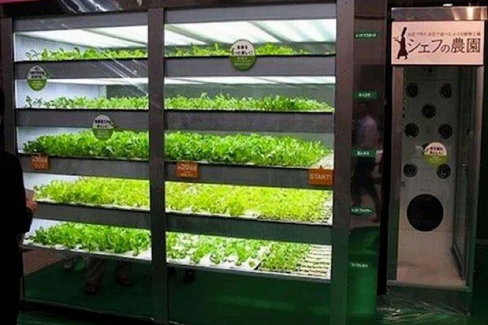 SALAD PUN ADA: Mesin layan diri salad ini sudah terdapat di Jepun. - Foto TREEHUGGER