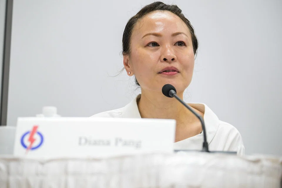 Pengarah pembangunan perniagaan Cik Diana Pang, 51 tahun, akan menggantikan tempat Mayor Majlis Pembangunan Masyarakat (CDC) South East, Encik Mohd Fahmi Aliman di GRC Marine Parade-Braddell Heights.