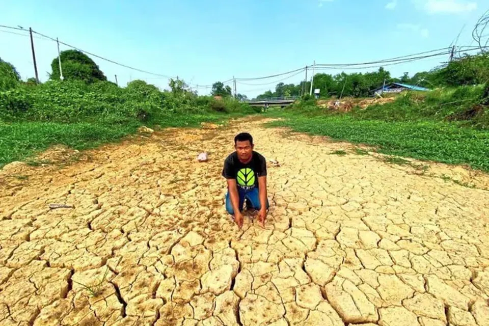 Musim kemarau berpanjangan di Kelantan sejak akhir Januari menjejas teruk penanaman padi dan hasil tuaian.