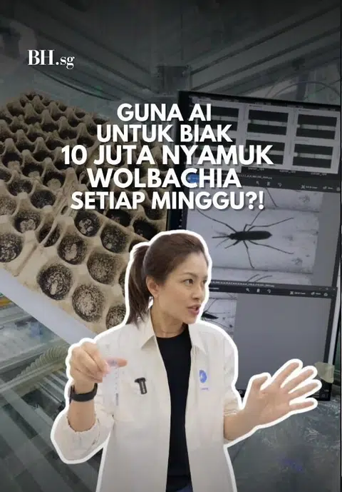 Membiak nyamuk menggunakan kecerdasan buatan (AI) merupakan sebahagian daripada inisiatif penyelidikan dan pengembangan (R&D) Google, Debug.