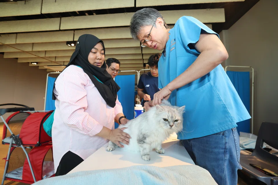 LESEN KUCING: Mulai 1 September 2024, pemilik wajib mendaftar lesen dan memasang mikrocip pada kucing peliharaan mereka.