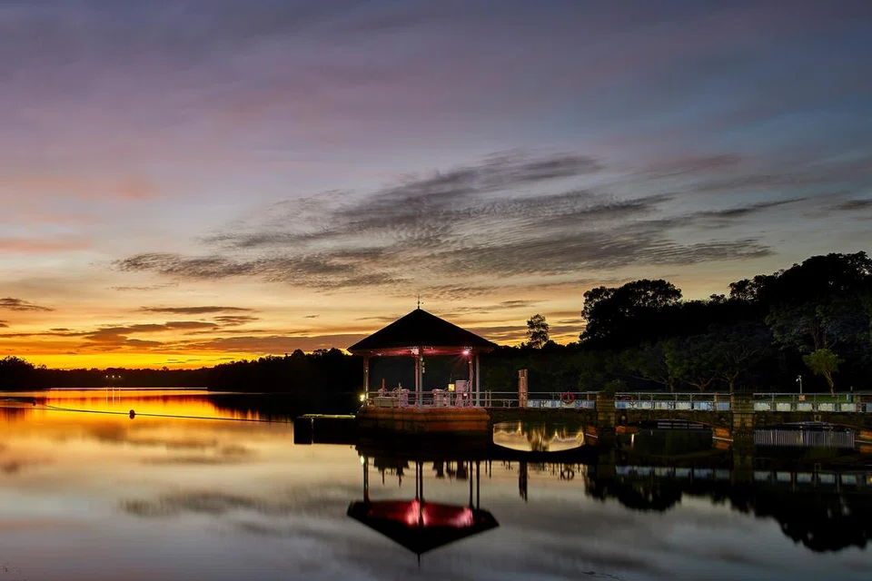 KOLAM AIR LOWER PEIRCE: Kolam Air Lower Peirce ialah kolam air kedua tertua di sini yang menawarkan pemandangan indah.
