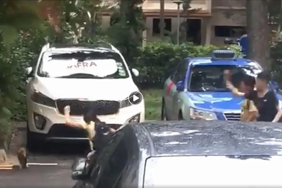 Dalam video itu, tiga kanak-kanak tersebut mengejar kucing dan melempar sesuatu ke arahnya. Foto: FACEBOOK / ROADS.SG 