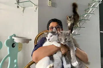 NASIB KUCING DIBELA: Pembantu peribadi Allahyarhamha Adibah Noor, Todd, memberitahu warganet bahawa beliau dan anggota keluarga Adibah akan menjaga 40 kucing peliharaannya dan ia tidak terbiar sebagaimana yang didakwa sesetengah pihak. - Foto TWITTER ADIBAH NOOR