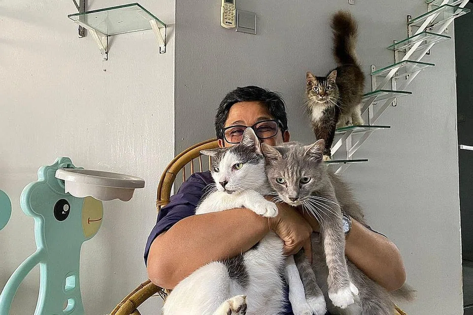 NASIB KUCING DIBELA: Pembantu peribadi Allahyarhamha Adibah Noor, Todd, memberitahu warganet bahawa beliau dan anggota keluarga Adibah akan menjaga 40 kucing peliharaannya dan ia tidak terbiar sebagaimana yang didakwa sesetengah pihak. - Foto TWITTER ADIBAH NOOR