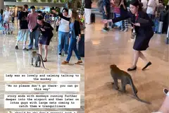 Dalam video dirakam pengguna Instagram, @moonjuice_kombucha, seorang kakitangan Lapangan Terbang Changi kelihatan memberi isyarat kepada monyet untuk ke arah pintu keluar pada 3 Disember.