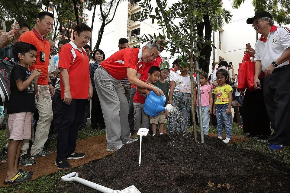 SUDAH JADI AMALAN TAHUNAN DI SINGAPURA: Singapura, yang terkenal sebagai bandar hijau, telah lama mengamalkan hari tanam pokok tahunan. Bulan lalu, Perdana Menteri Lee Hsien Loong menyiram pokok yang ditanamnya di depan Blok 405A Fernvale Lane di Sengkang. - Foto fail