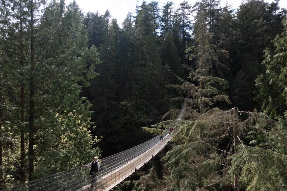 Menyeberangi jambatan gantung yang mengagumkan di tengah hutan yang menghijau, menawarkan pengalaman yang mendebarkan dan pemandangan alam semula jadi yang menakjubkan.