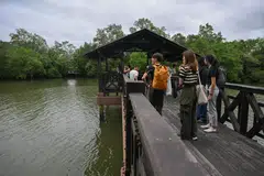 TINJAU KEINDAHAN: Pengunjung melihat bekas Jambatan Utama di Paya Simpanan Sungei Buloh yang telah ditukar untuk menampilkan ruang tinjau baru.