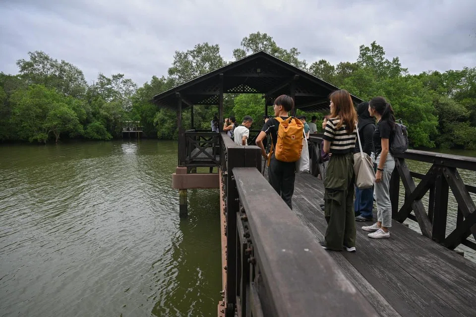 TINJAU KEINDAHAN: Pengunjung melihat bekas Jambatan Utama di Paya Simpanan Sungei Buloh yang telah ditukar untuk menampilkan ruang tinjau baru.