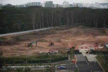Satu daripada dua plot tanah yang ditumbang di Kranji Road, dilihat pada 22 Februari 2021.