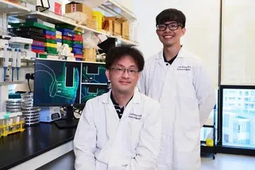 Kajian, NTU, Sekolah Perubatan Lee Kong Chian (LKCMedicine), bagaimana pelbagai kawasan otak bekerjasama kawal dorongan gerak hati, impulsif, neurosains